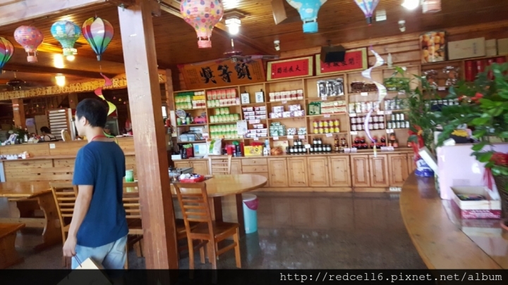 台灣好行縱谷鹿野線-迷鹿野很好旅遊好樂趣!