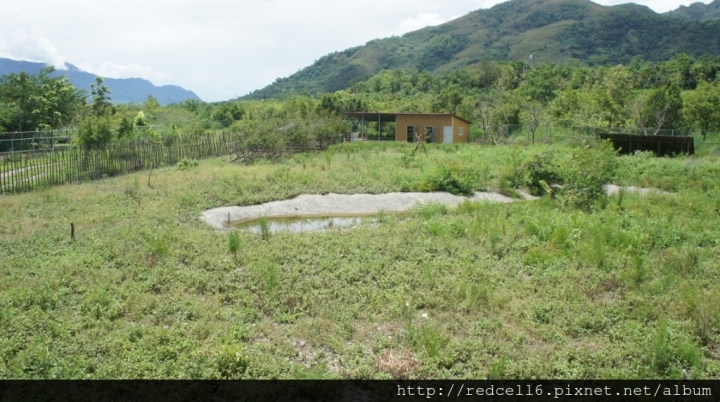 台灣好行縱谷鹿野線-迷鹿野很好旅遊好樂趣!