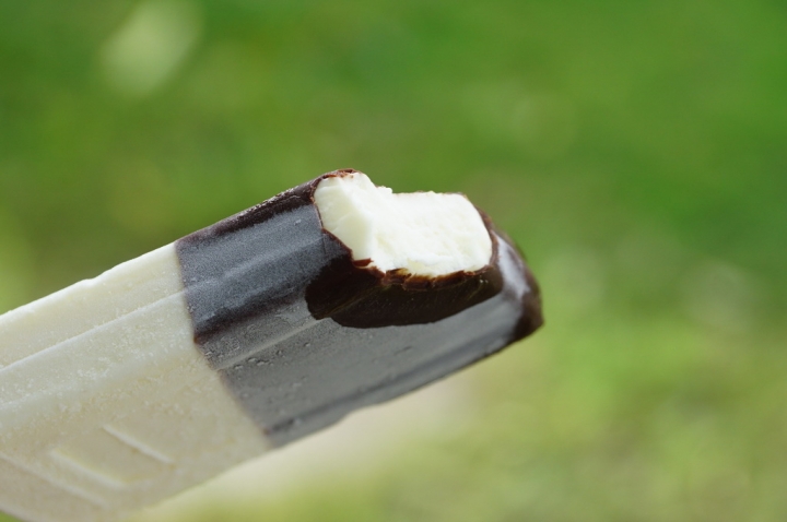 [台南][佳里區] 順泉冰菓室（塭子內無名冰店）