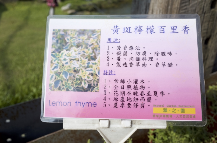 屏東里港信國社區及定遠社區的異域之旅！