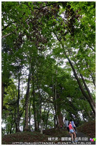那須定點親子旅行●【Hotel Epinard Nasu】和楽日手作DIY x 365天都精彩的季節限定行程 (採水梨、烤香魚、遊史跡、奧之細道)