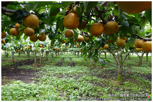 那須定點親子旅行●【Hotel Epinard Nasu】和楽日手作DIY x 365天都精彩的季節限定行程 (採水梨、烤香魚、遊史跡、奧之細道)