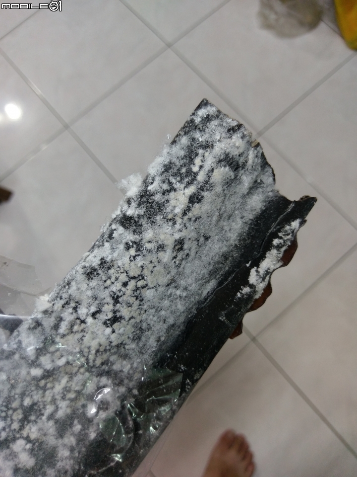 昆布這樣還是正常的嗎？