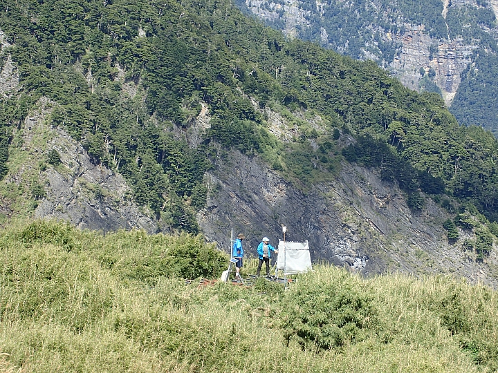 2日翠池行順賞巒大花楸