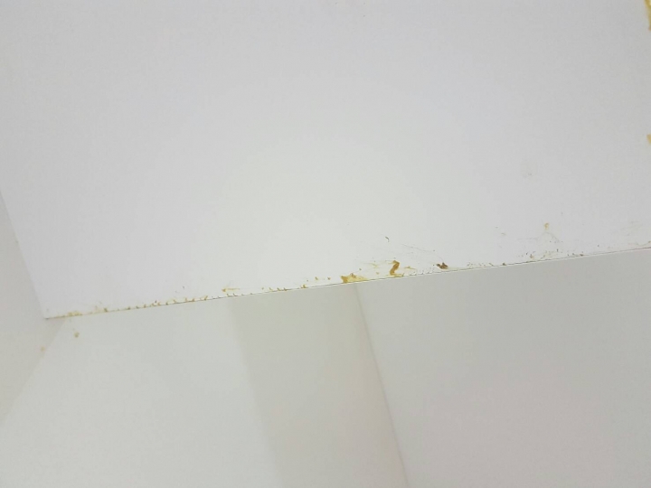 請問木工工資+學徒