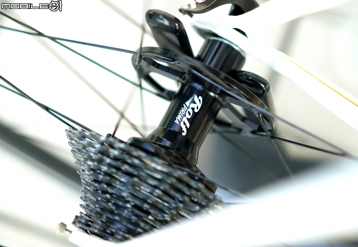 COLNAGO MASTER 經典鋼管車 配上rolf elan爬坡輪