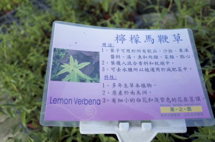屏東里港信國社區及定遠社區的異域之旅！