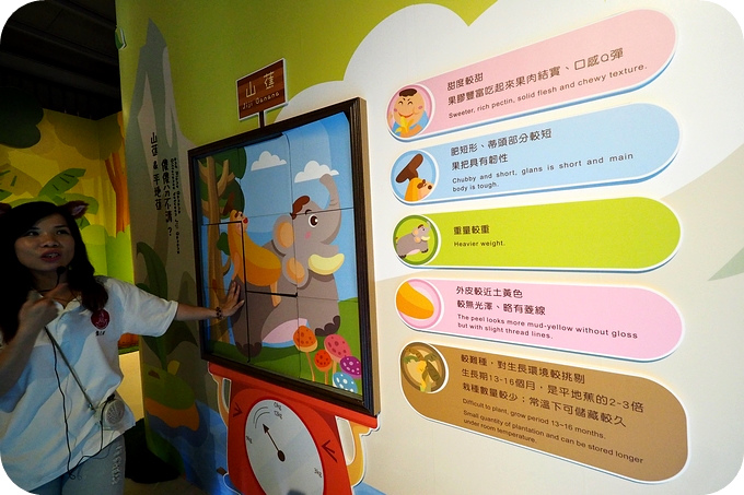 【南投集集遛小孩景點】到集元果觀光工廠，認識山蕉，體驗有特色的採種蕉苗DIY！