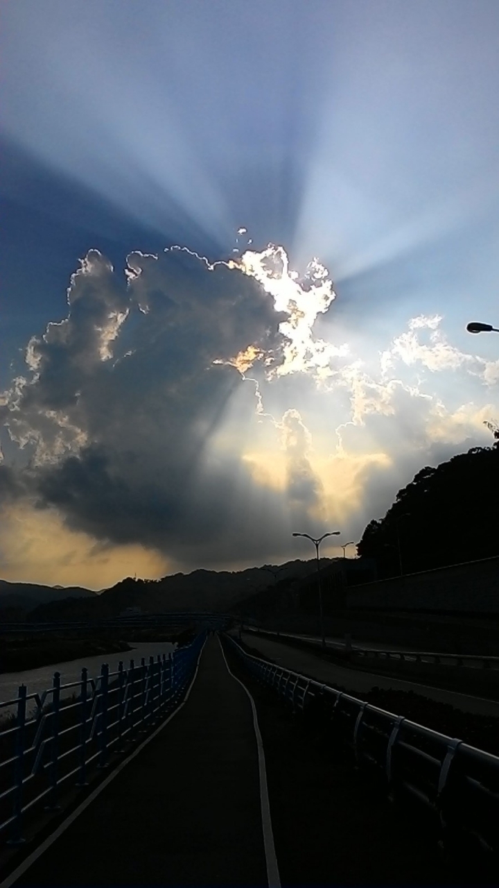 天光雲影共徘徊