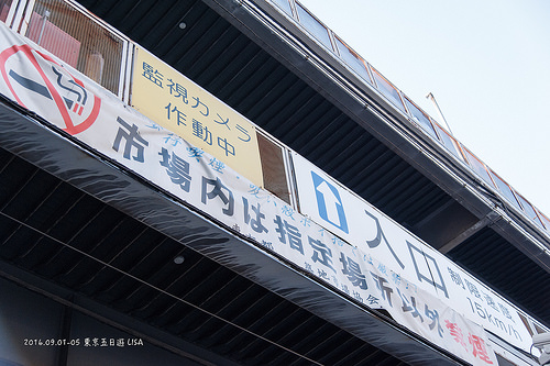 [走跳] 日本東京五日遊 day2 （上）- 築地市場、磯壽司、築地本願寺