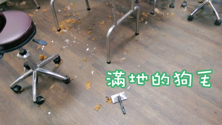 【試用】《LG PuriCare空氣清淨機》消滅過敏原，去除臭尿味，居家空氣品質好棒棒。
