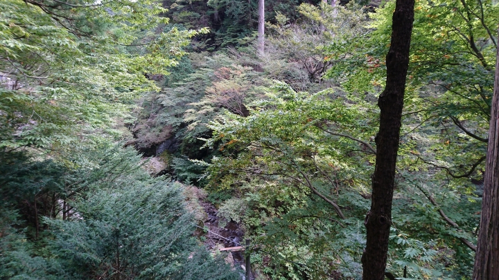 群馬快跑 榛名神社 榛名湖 秋名下坡道 箕輪城 鉢形城