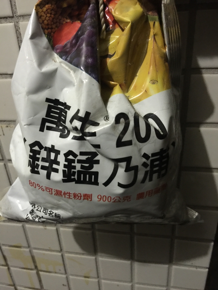 真柏是否生病了?