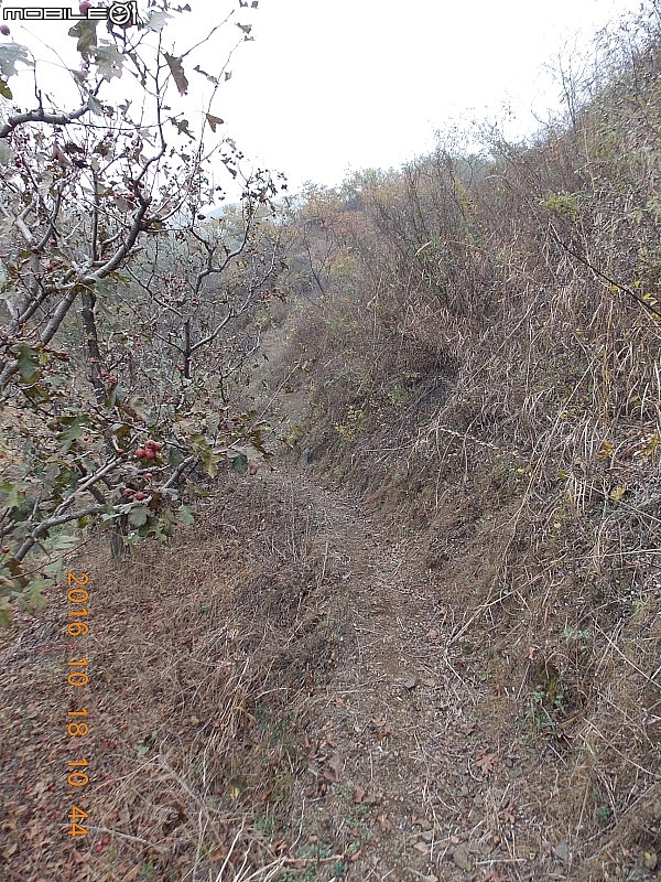 牆子路長城 – V字型長城