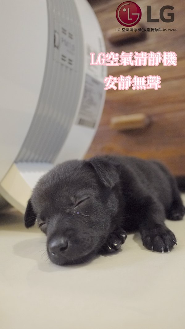 【試用】《LG PuriCare空氣清淨機》消滅過敏原，去除臭尿味，居家空氣品質好棒棒。