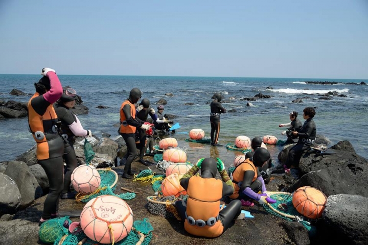 韓國濟州島海女 牛島海女 海女文化