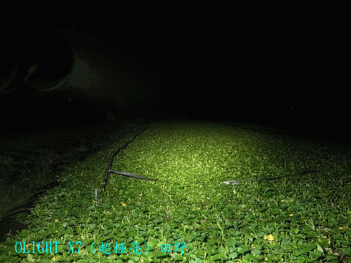 X7 泛光哥傲氣登場(新增傲氣萬丈X7R)