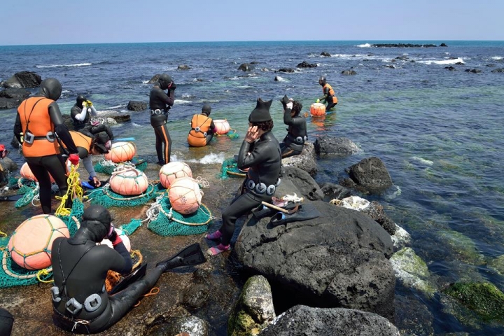 韓國濟州島海女 牛島海女 海女文化
