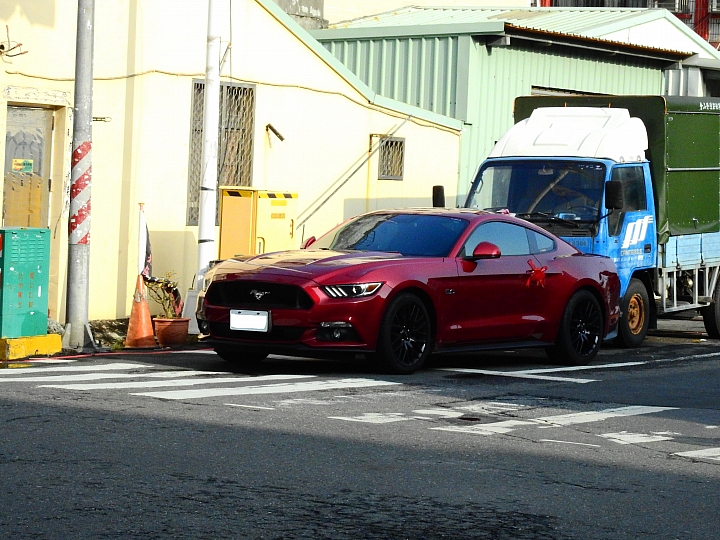 一早巧遇福特野馬迎親車對，祝福新人滿滿的幸福。