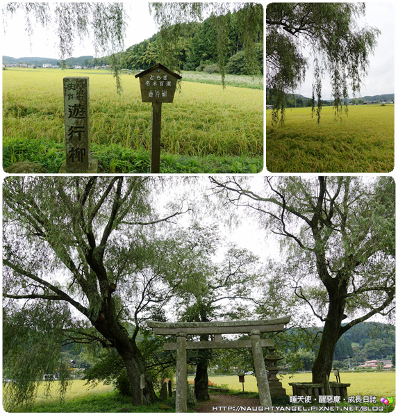 那須定點親子旅行●【Hotel Epinard Nasu】和楽日手作DIY x 365天都精彩的季節限定行程 (採水梨、烤香魚、遊史跡、奧之細道)