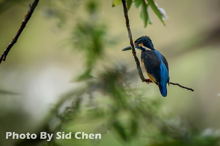 [簡易開箱]Tamron 150-600 G2