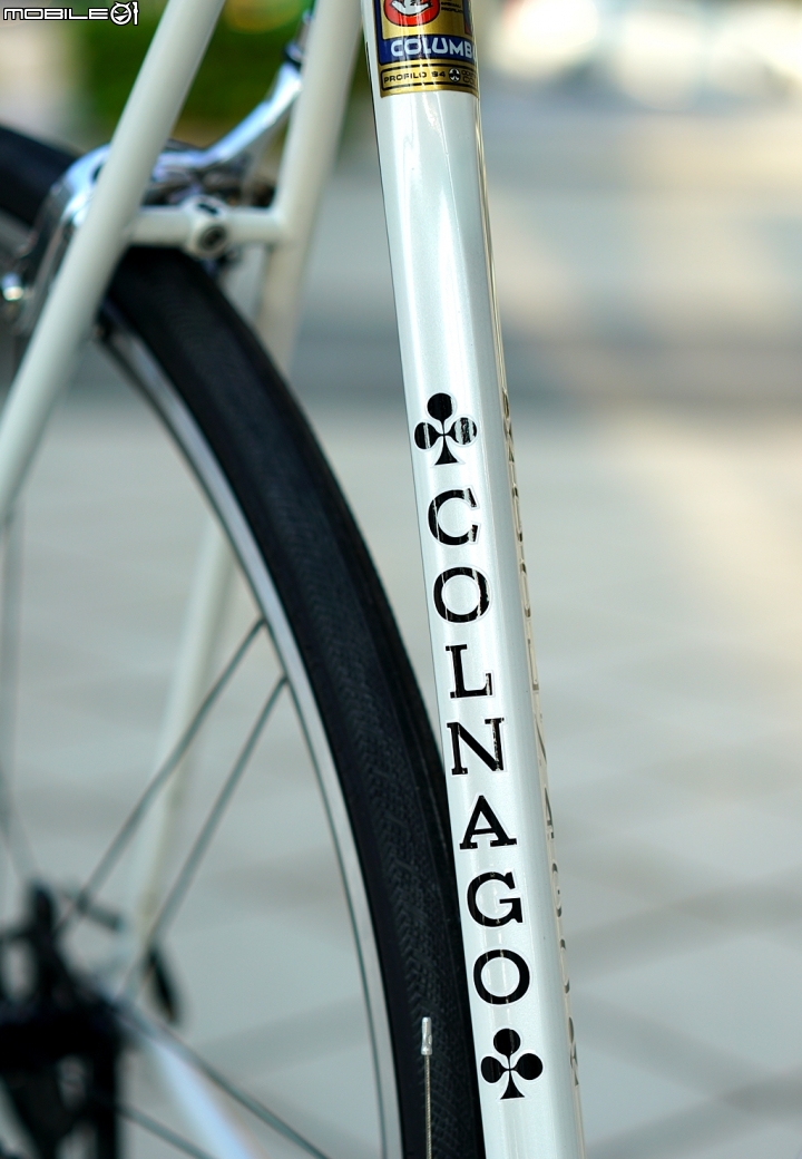 COLNAGO MASTER 經典鋼管車 配上rolf elan爬坡輪