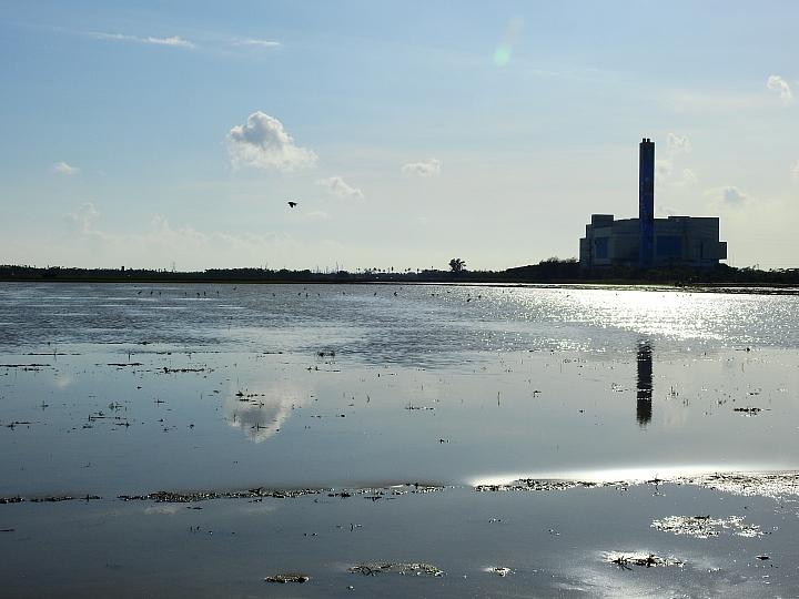 Nikon P900陽光燦爛(以阿里山日出為主題，並請教5種鳥名，謝謝！)