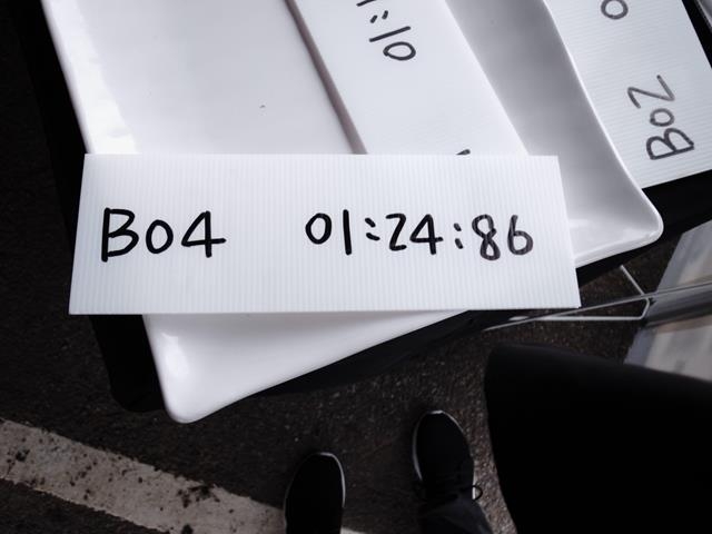 FOCUS ECOBOOST 1.5 金卡納體驗