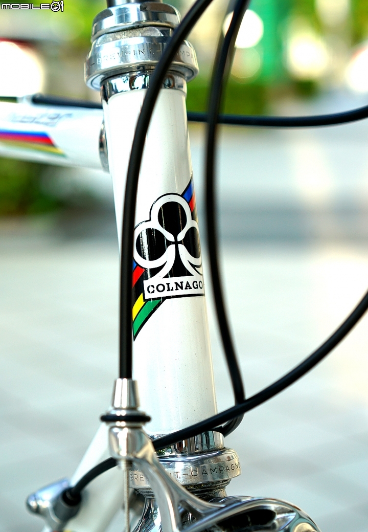 COLNAGO MASTER 經典鋼管車 配上rolf elan爬坡輪