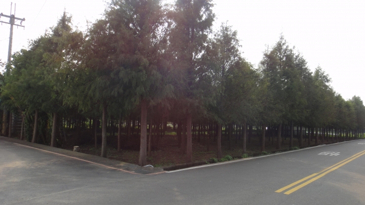 隱藏在近郊的「迷你版橫貫公路」-中88+中87意外繞一圈之旅