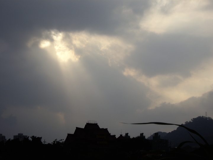 天光雲影共徘徊