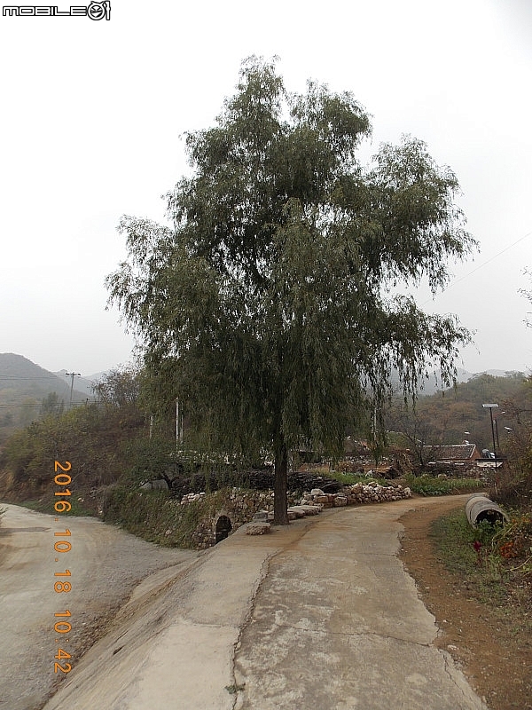 牆子路長城 – V字型長城