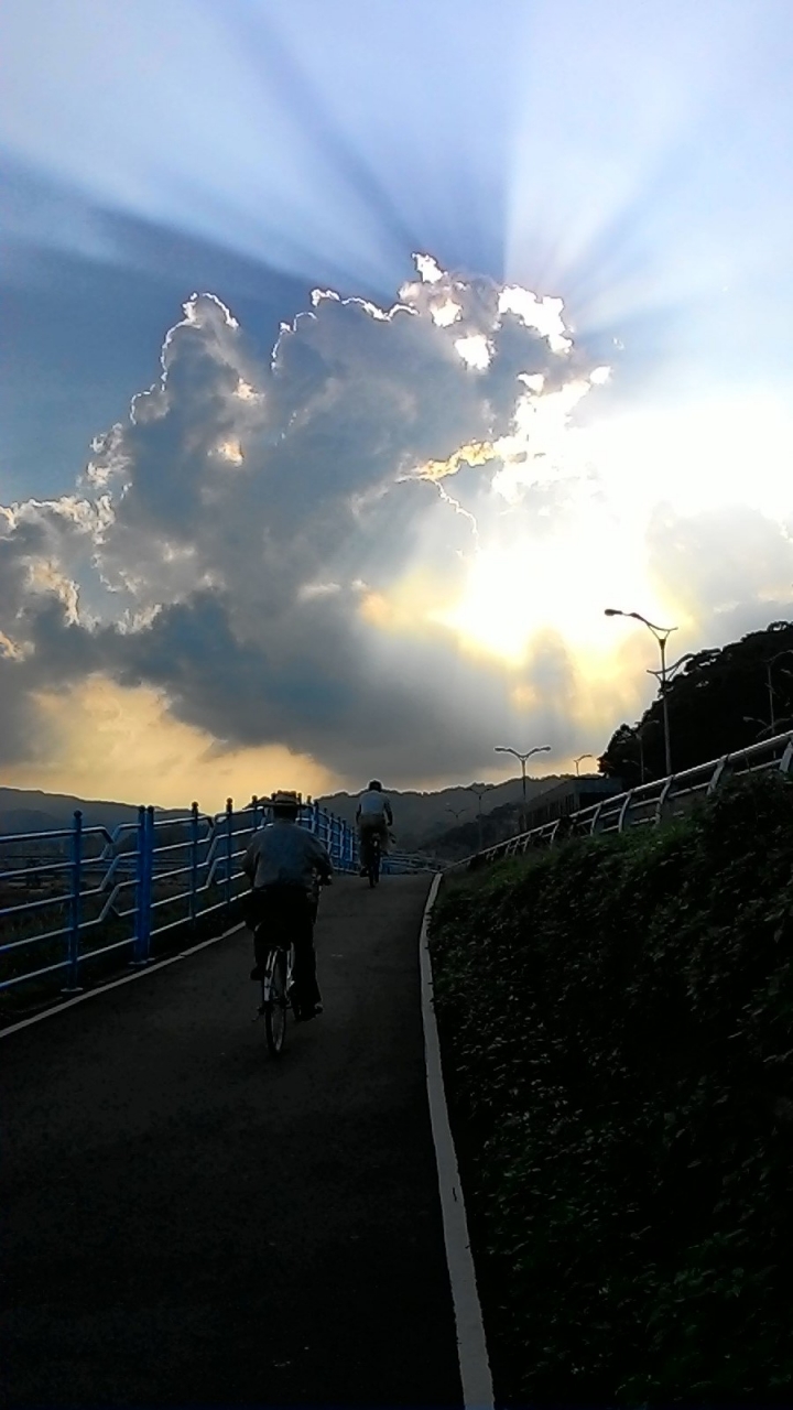 天光雲影共徘徊