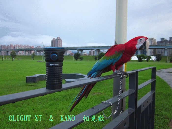 X7 泛光哥傲氣登場(新增傲氣萬丈X7R)