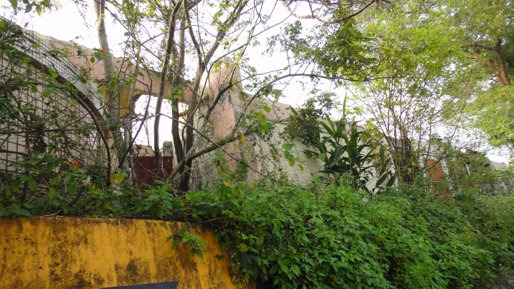 隱藏在近郊的「迷你版橫貫公路」-中88+中87意外繞一圈之旅