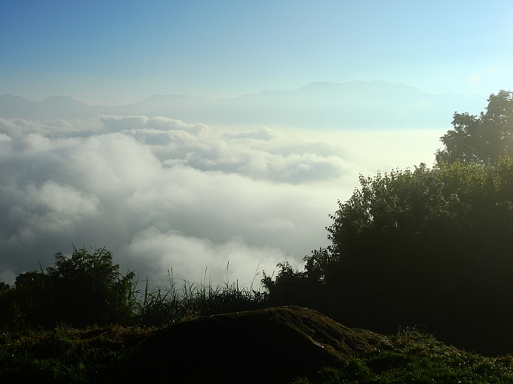 Nikon P900陽光燦爛(以阿里山日出為主題，並請教5種鳥名，謝謝！)