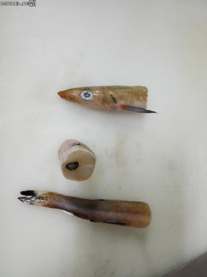 請問這是什麼魚？