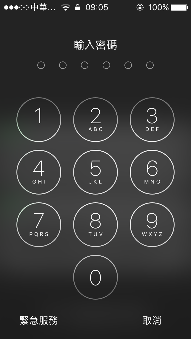 請問我的iPhone se畫面是否正常？
