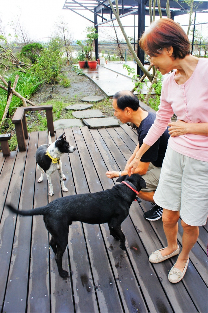 【宜蘭冬山 | 住宿】鄉間裡的樂活渡假民宿☀日光綠築 VILLA LOHERB