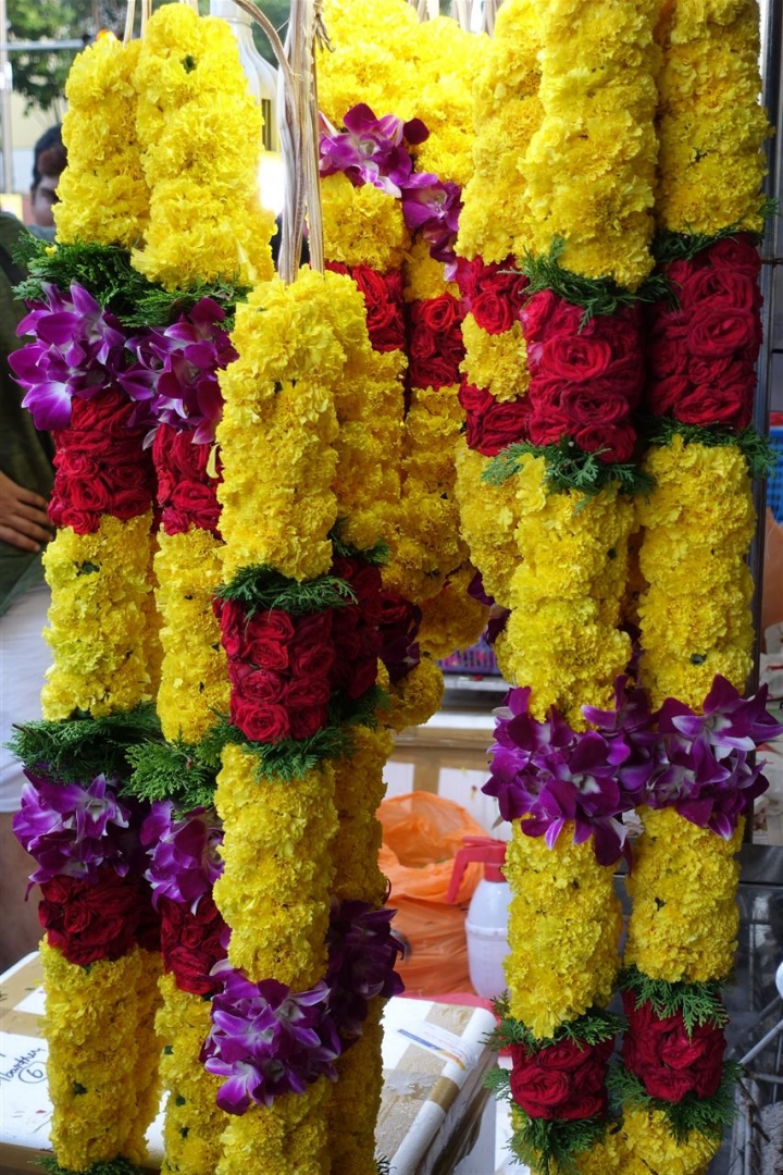 新加坡一年一度瘋狂的大寶森節(Thaipusam)