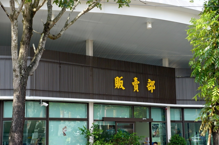 [台南][龍崎區] 龍山文衡殿-鋼鐵人、變形金剛、浩克、浩克毀滅者、美國隊長、雷神索爾、冰雪奇緣