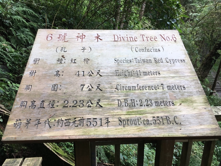 [宜蘭]棲蘭神木園