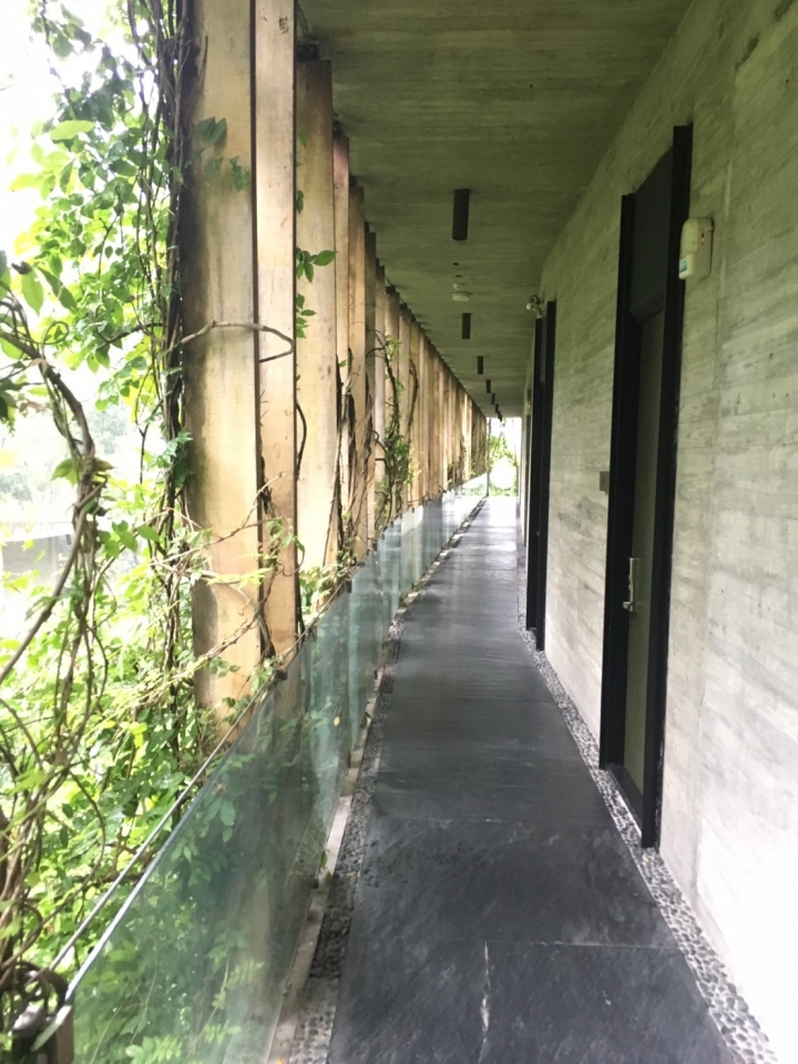 [露天風呂下午茶]苗栗泰安觀止行水餐廳露天風呂下午茶~泡湯的悠閒下午茶~ 好山好水好舒服~