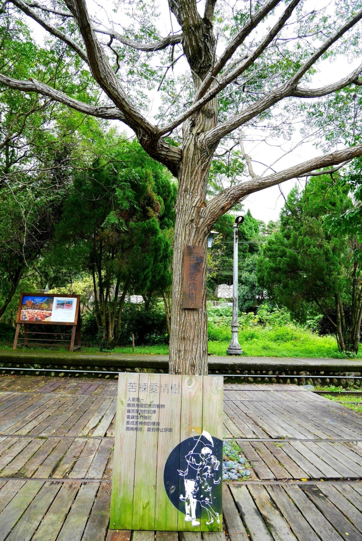 【新竹內灣 | 景點】全台最具浪漫愛情氣息的文青風火車站❤合興車站