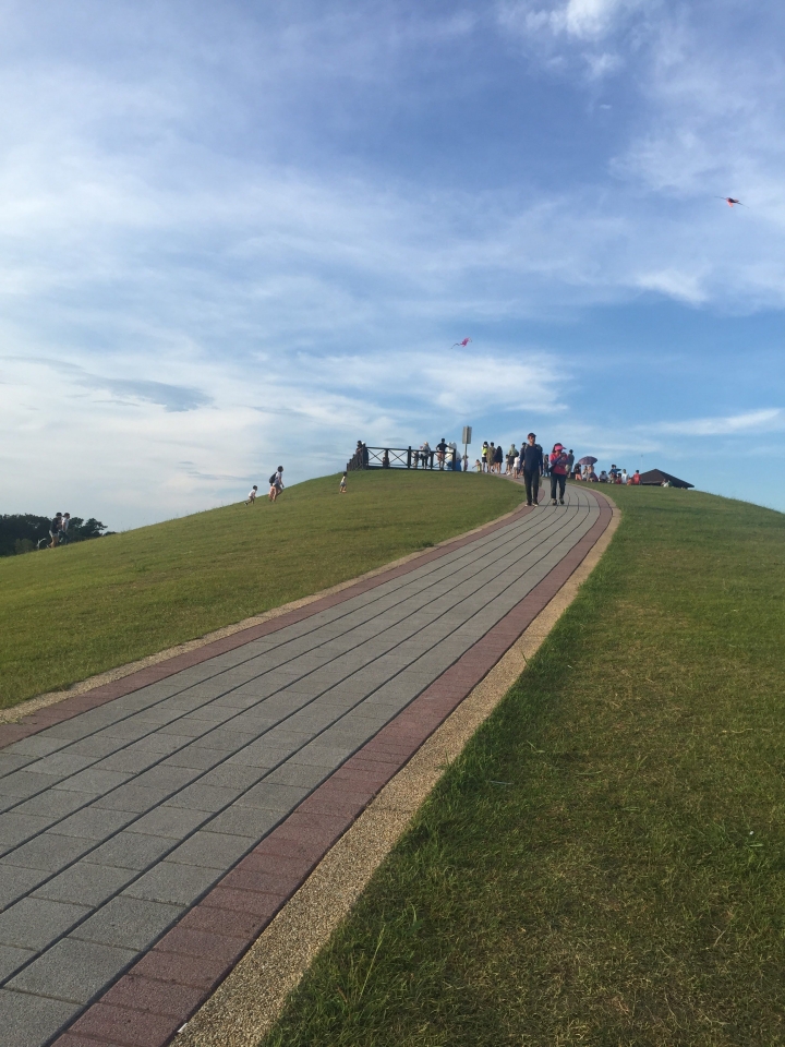 【八里 | 景點】可愛度爆表的米飛Miffy兔公園