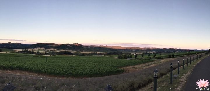 【美國・Eugene・2016】King Estate Winery 酒莊享用晚餐