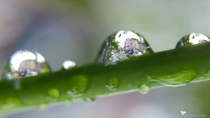 (第83批圖) LG G4 &G5&V10&v20 日夜拍研究團 精選作品2016.11.28