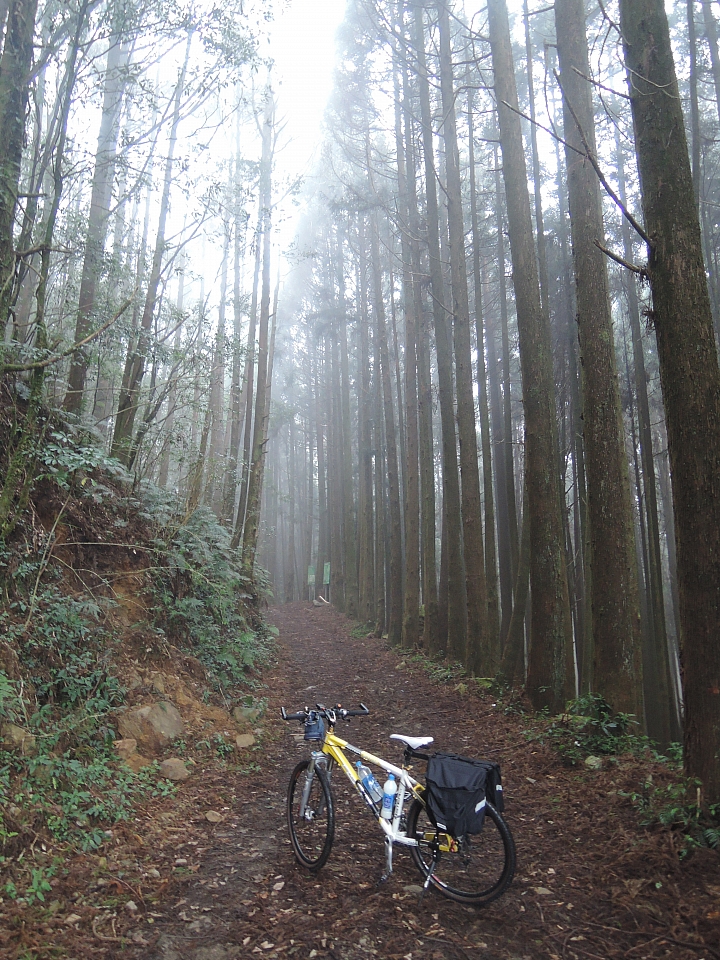 2015 單車旅行 環半島遊記 Day-6 阿里山-集集