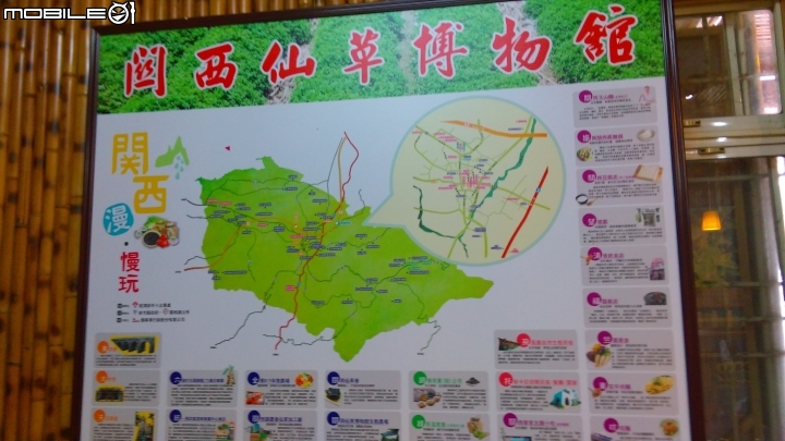 關西仙草博物館散步遊