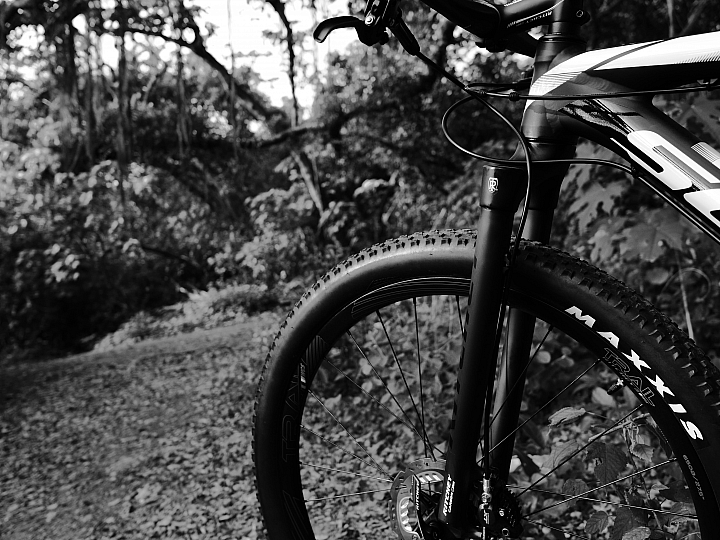 SCOTT SCALE 740 2014